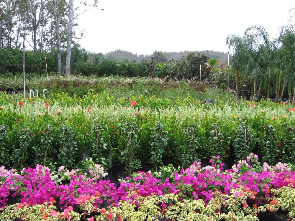 Expert garden landscaping for beautiful yards across Spring Hill, FL - Tree-Mendous Tree Service