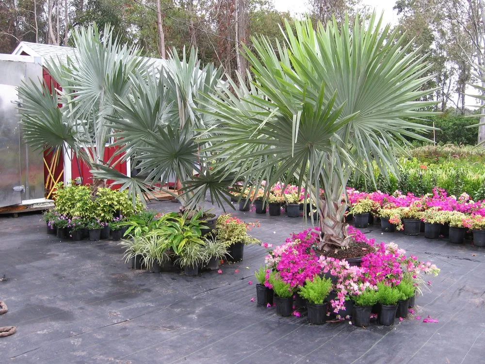 Trusted garden landscaping in Spring Hill, FL - Tree-Mendous Tree Service