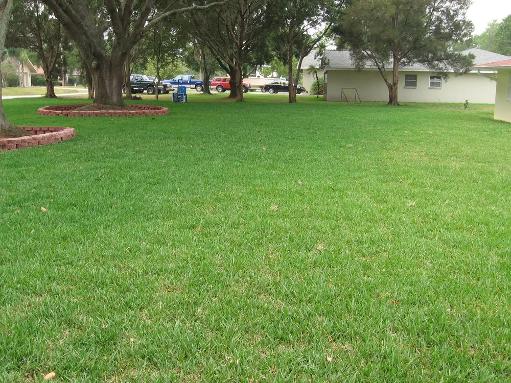 Expert landscape design for beautiful yards across Spring Hill, FL - Tree-Mendous Tree Service