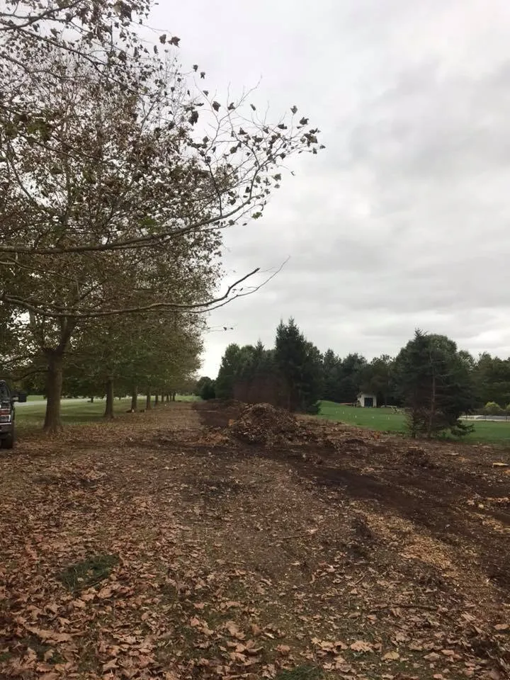 Top-rated landscaping services near you in Middletown, DE by Tree