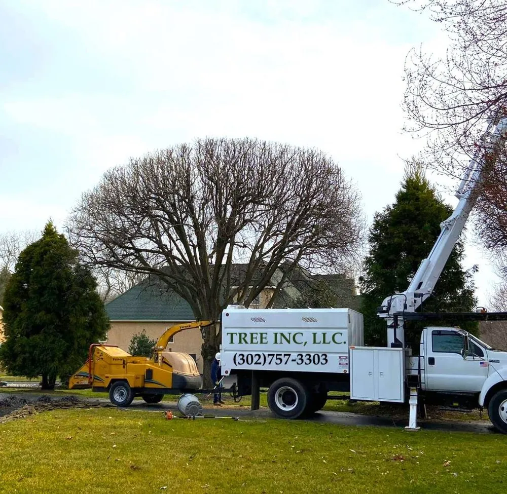 Top-rated outdoor landscaping in Middletown, DE by Tree