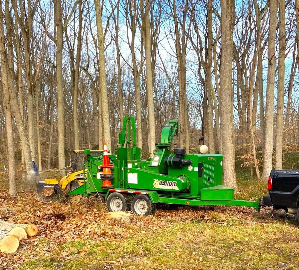 Reliable outdoor landscaping experts serving Middletown, DE - Tree