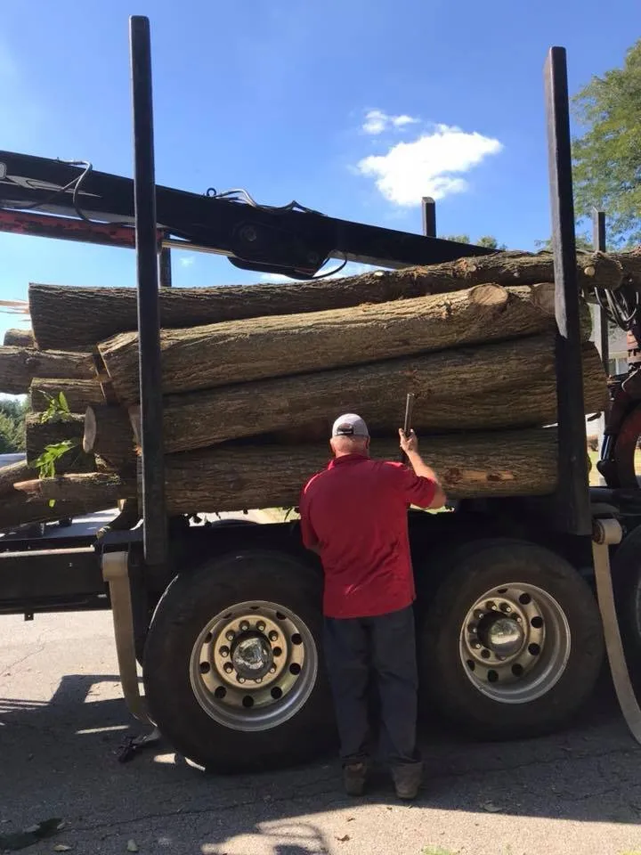 Top-rated landscape design in Middletown, DE - Tree