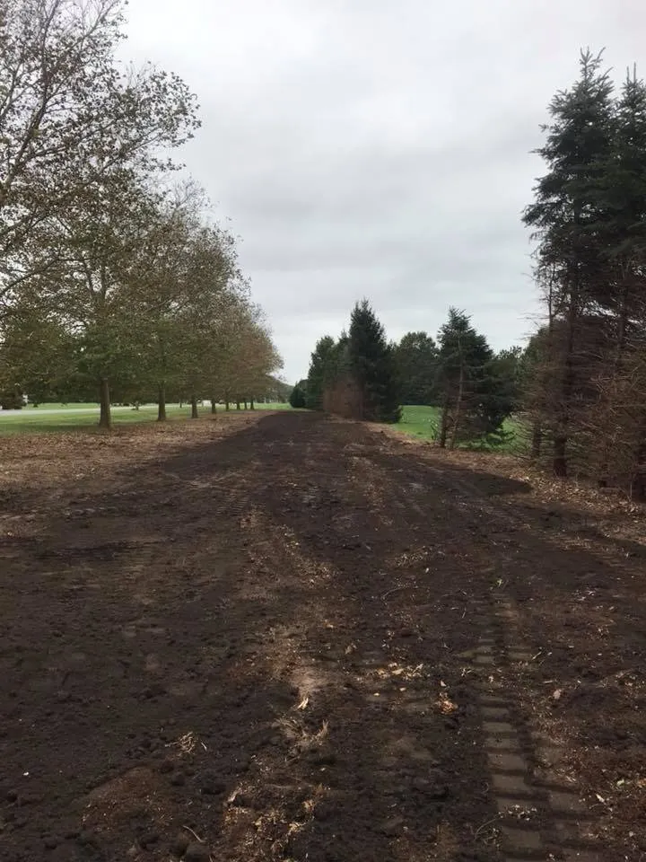 Trusted yard maintenance experts serving Middletown, DE - Tree