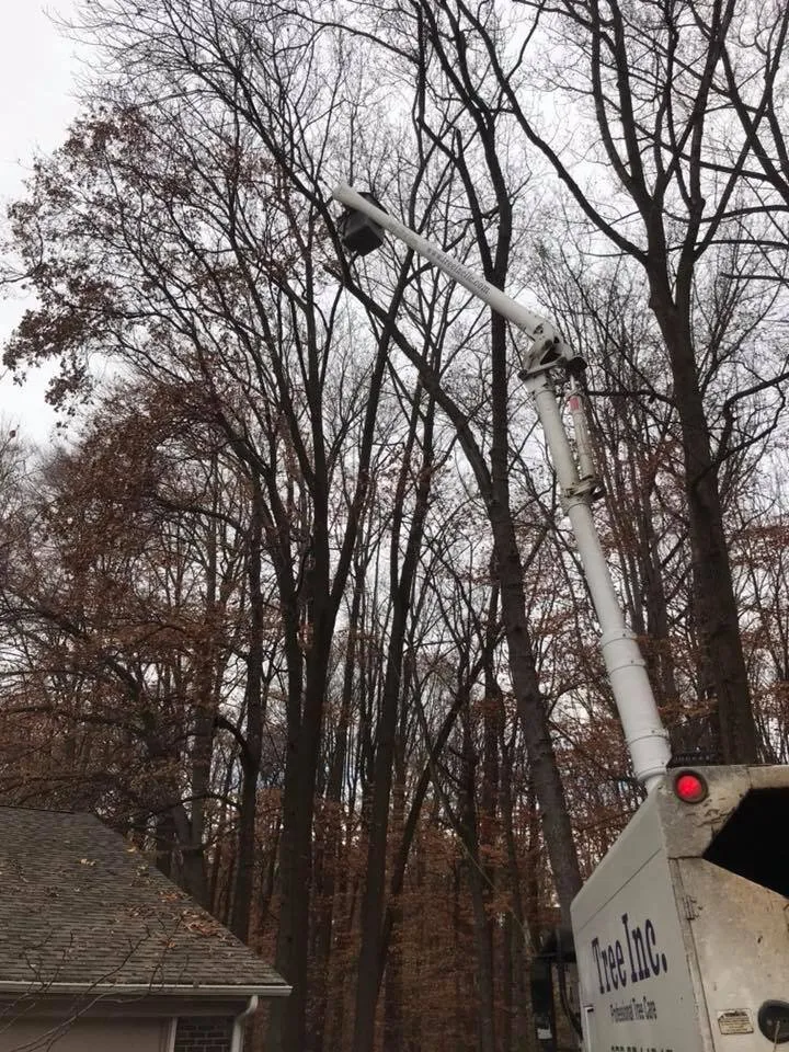 Affordable landscape installation in Middletown, DE by Tree