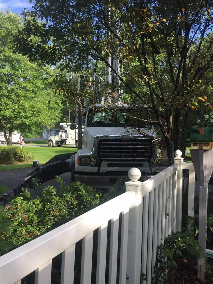 Professional residential landscaping in Middletown, DE by Tree