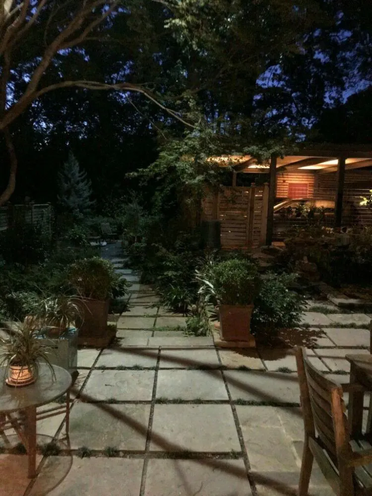 Professional yard maintenance for year-round maintenance in Cumming, GA by Tree Monkey Tree Services Unlimited