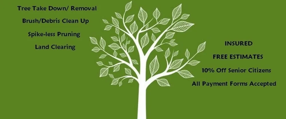 Affordable lawn care service in Cumming, GA - Tree Monkey Tree Services Unlimited