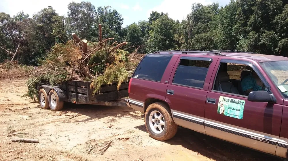 Custom garden landscaping near you in Cumming, GA by Tree Monkey Tree Services Unlimited