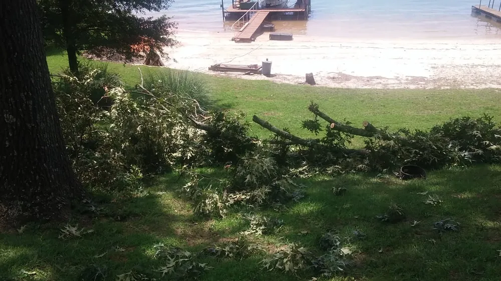 Top-rated yard maintenance in Cumming, GA by Tree Monkey Tree Services Unlimited