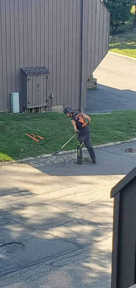 Trusted lawn mowing service for beautiful yards in New Milford, CT by Tree Monsters Land Clearing