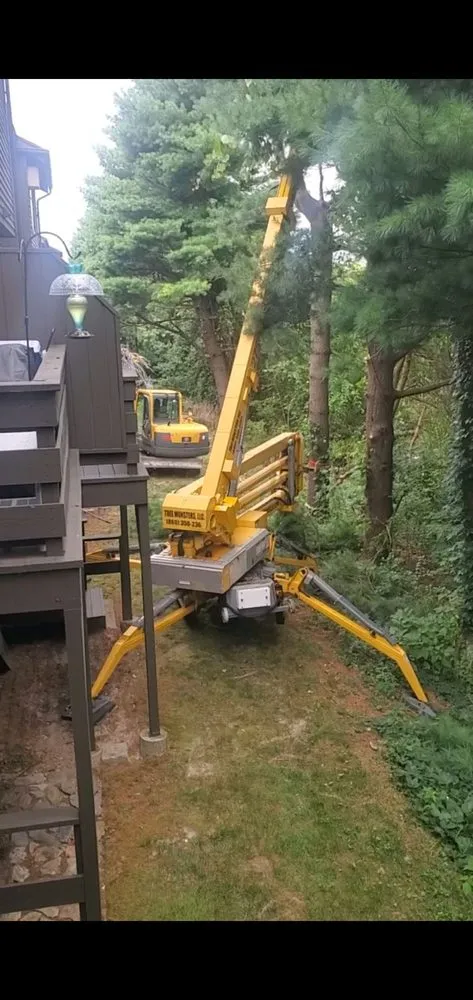 Custom residential landscaping experts serving New Milford, CT - Tree Monsters Land Clearing