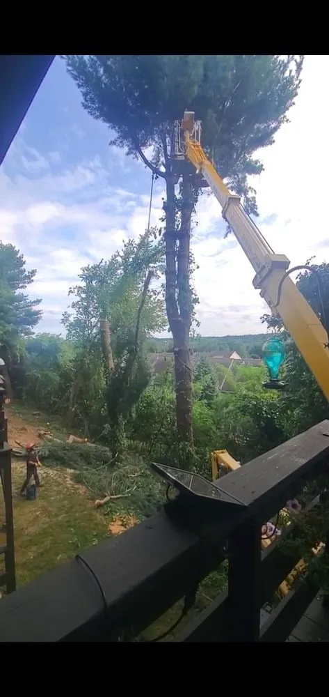 Expert landscape installation near you across New Milford, CT - Tree Monsters Land Clearing