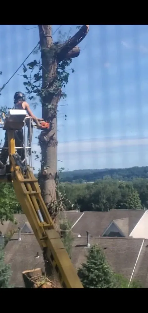 Custom garden landscaping in New Milford, CT by Tree Monsters Land Clearing