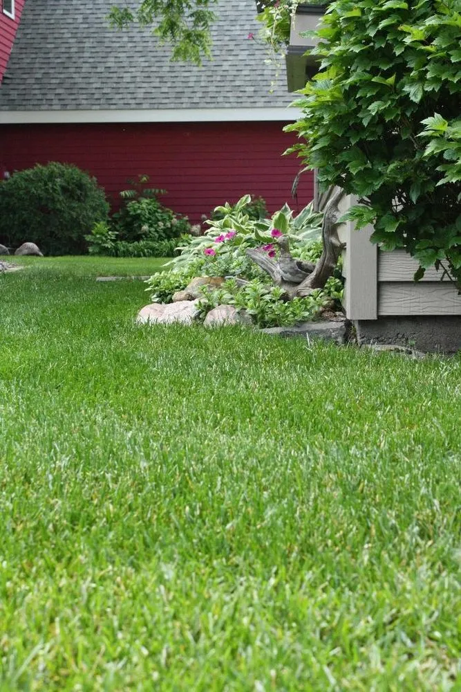 Top-rated yard maintenance in Spicer, MN by Tree-n-Turf Services