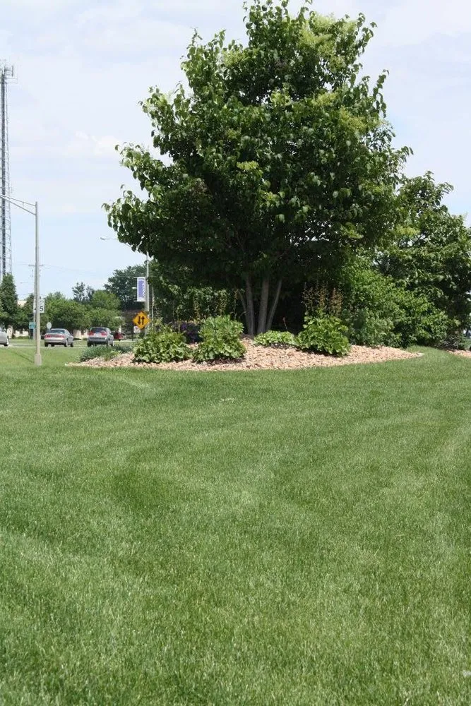 Reliable garden landscaping for outdoor upgrades across Spicer, MN - Tree-n-Turf Services