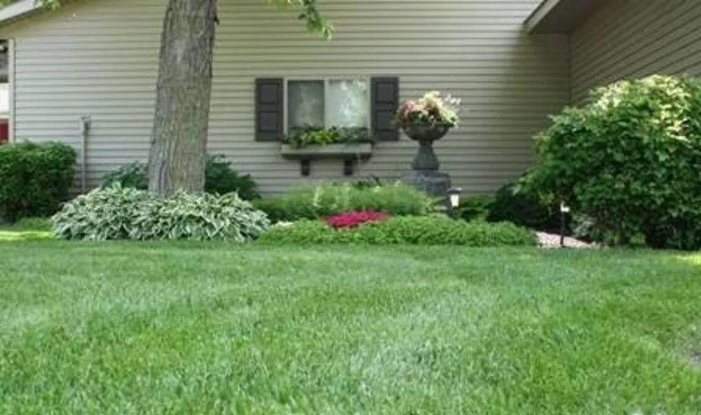 Local outdoor landscaping experts serving Spicer, MN - Tree-n-Turf Services