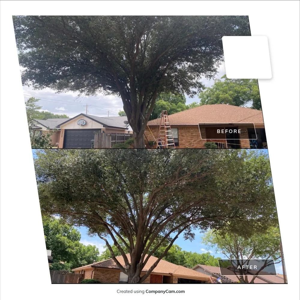 Top-rated garden landscaping in Baird, TX - Tree of Life