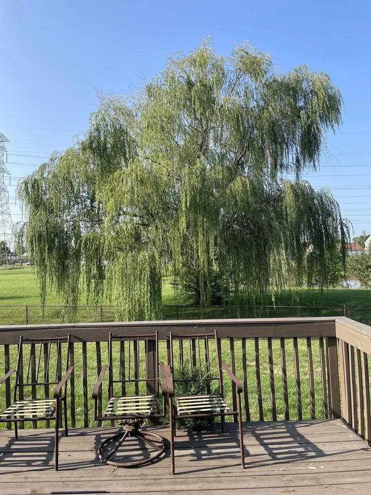 Reliable landscaping services in Carmel, IN by Tree of Life