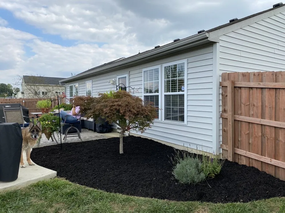 Top-rated yard cleanup service with custom design across Carmel, IN - Tree of Life