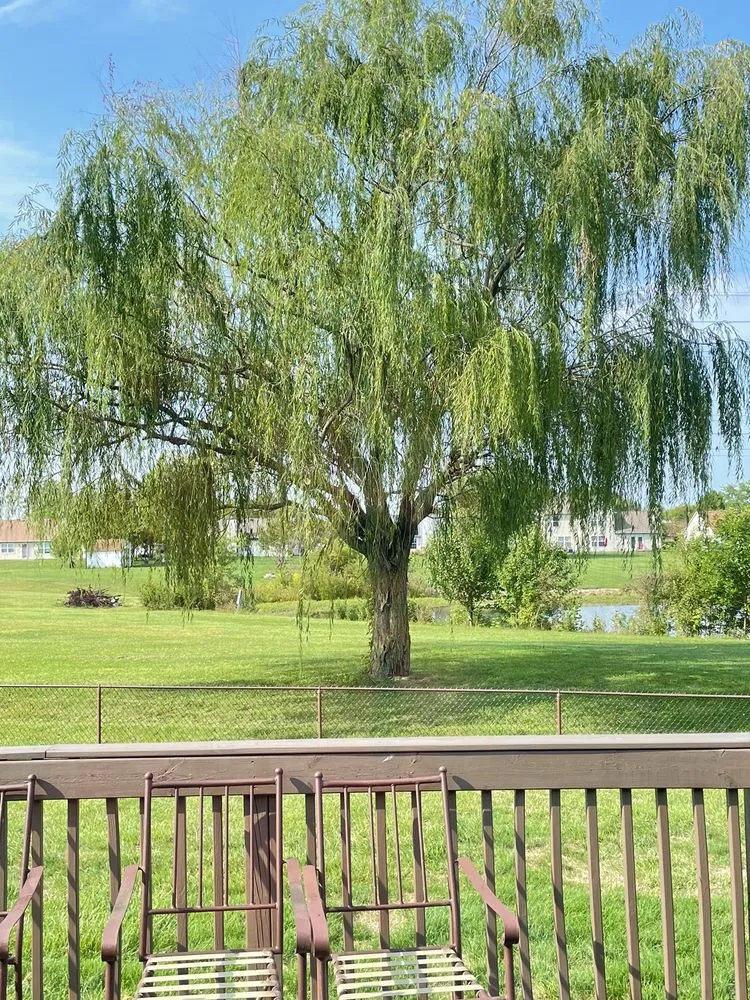 Expert garden landscaping experts serving Carmel, IN - Tree of Life