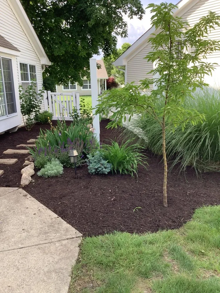 Top-rated yard maintenance in Carmel, IN by Tree of Life