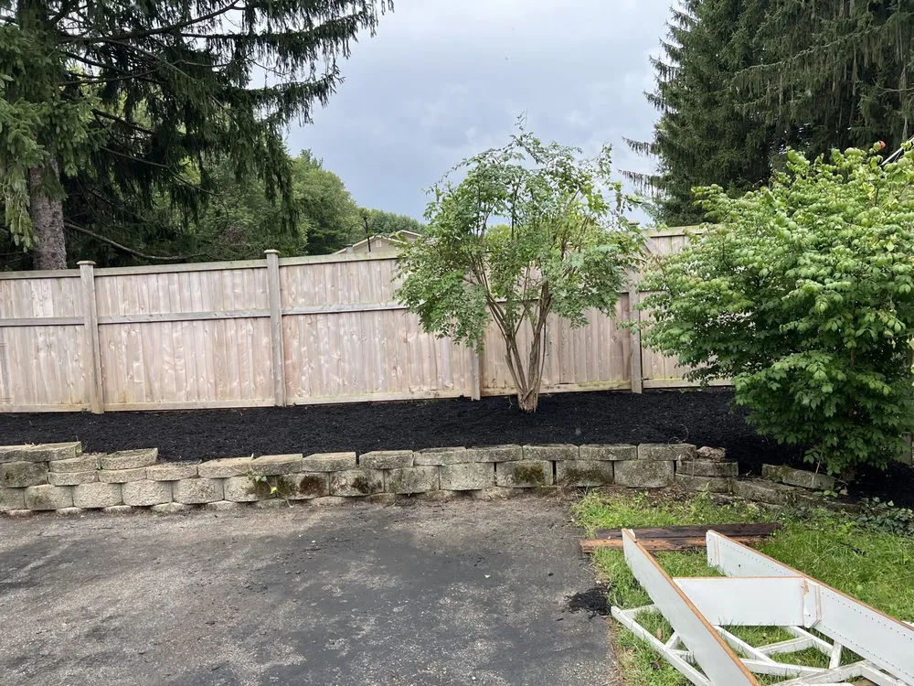 Expert lawn care service experts serving Carmel, IN - Tree of Life