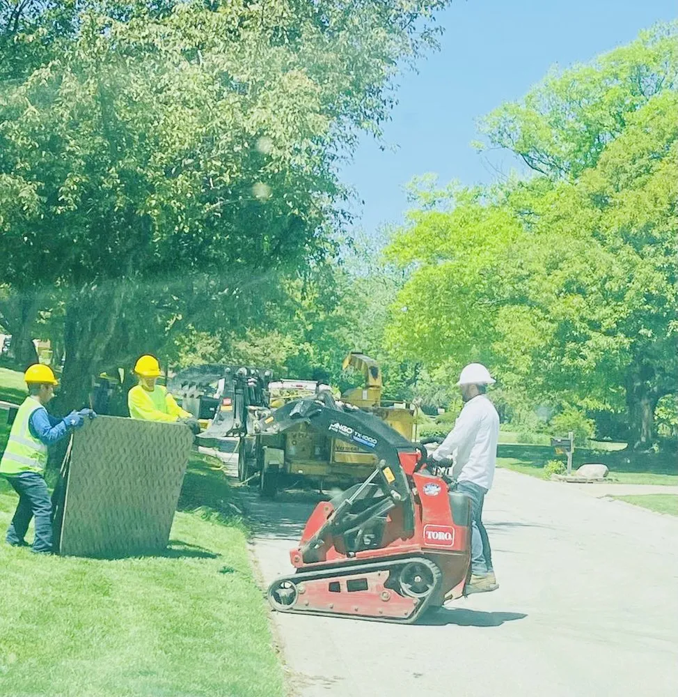 Top-rated yard cleanup service for beautiful yards in Carmel, IN by Tree of Life