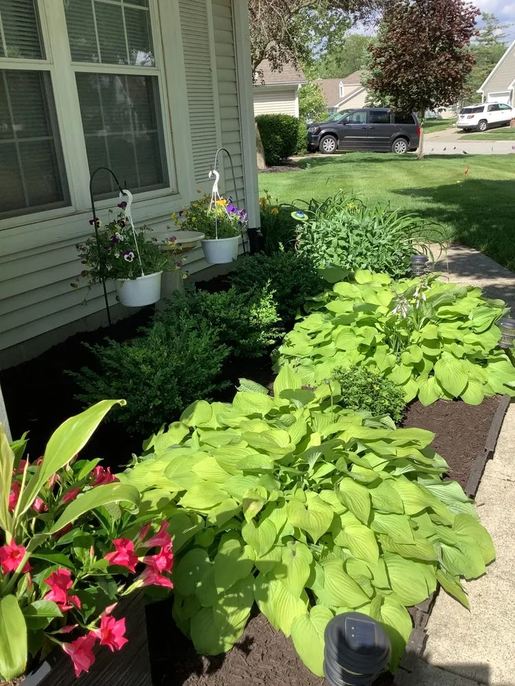 Custom outdoor landscaping experts serving Carmel, IN - Tree of Life