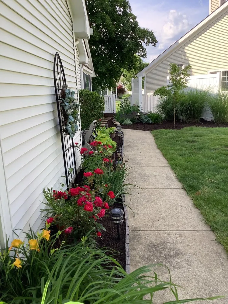 Affordable yard cleanup service for beautiful yards in Carmel, IN by Tree of Life