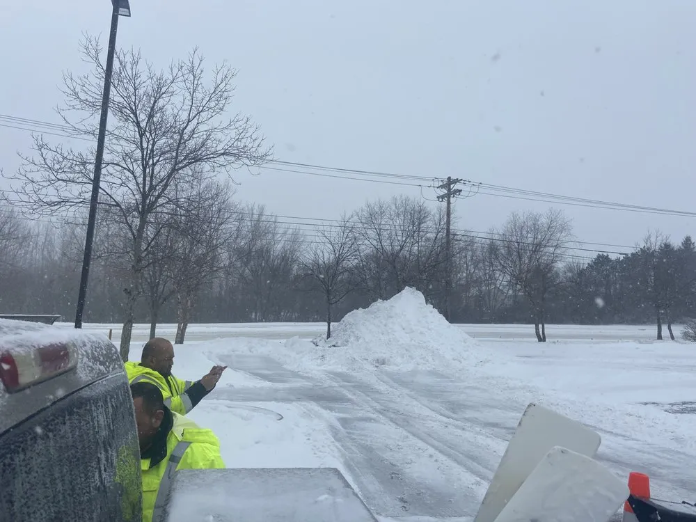 Local yard maintenance with custom design in Carmel, IN by Tree of Life