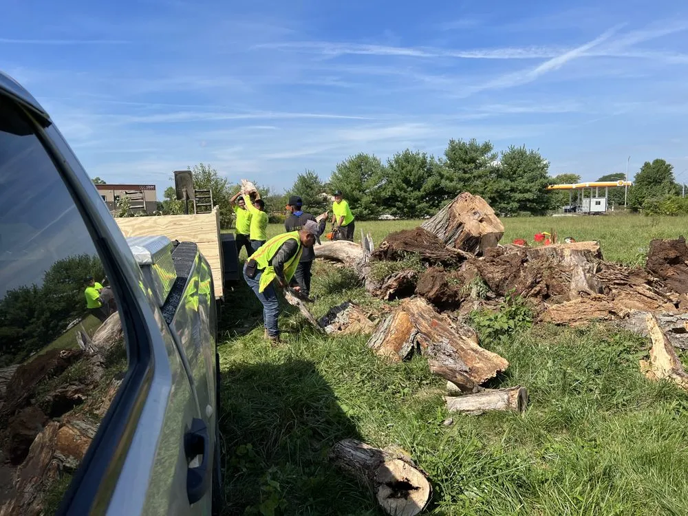 Expert landscaping services near you across Carmel, IN - Tree of Life