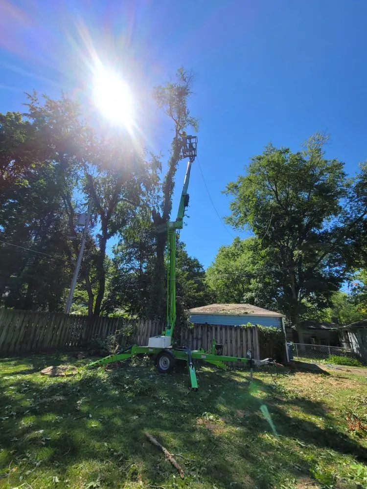 Trusted yard cleanup service in Carmel, IN - Tree of Life