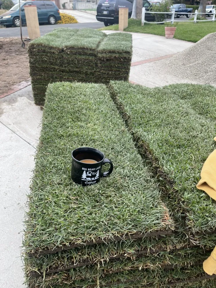 Top-rated yard maintenance in Pasadena, CA by Tree of Life J & D