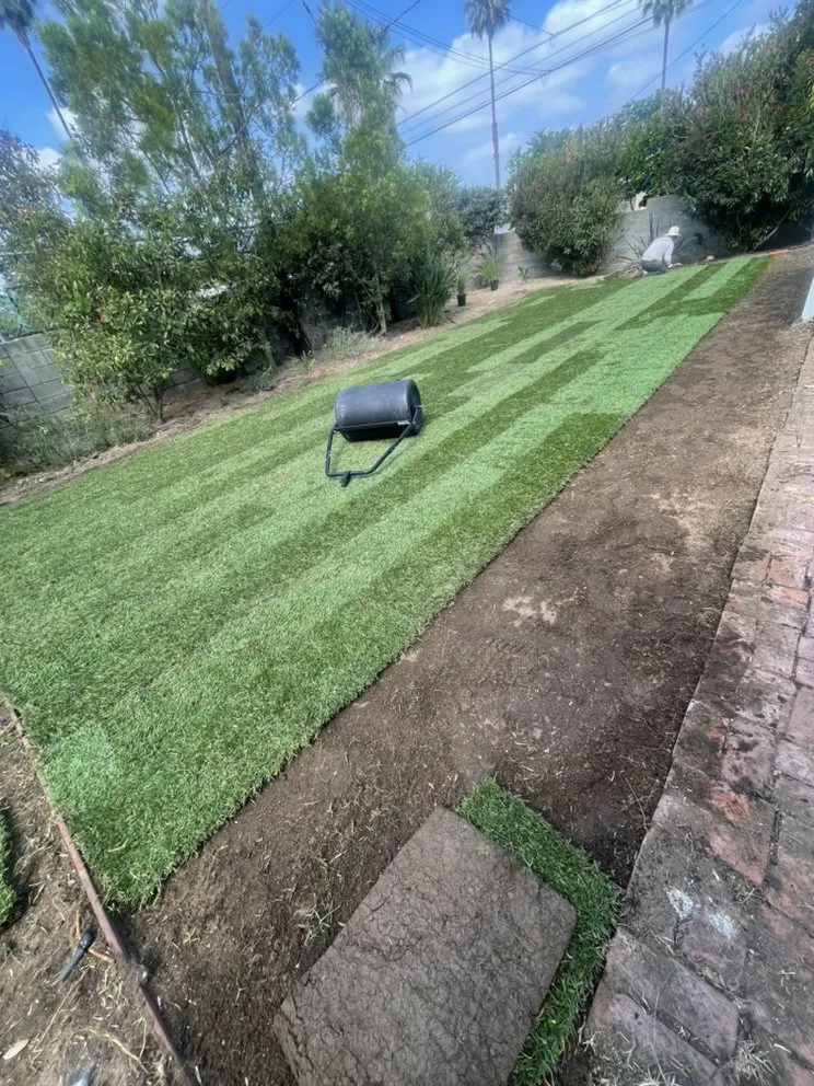 Trusted residential landscaping in Pasadena, CA - Tree of Life J & D