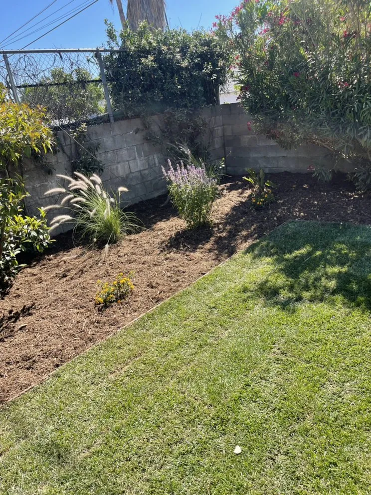 Top-rated landscaping services in Pasadena, CA - Tree of Life J & D