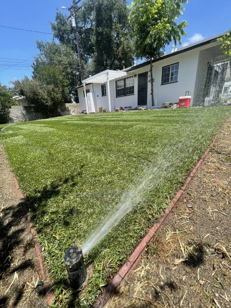 Custom landscape design with custom design across Pasadena, CA - Tree of Life J & D