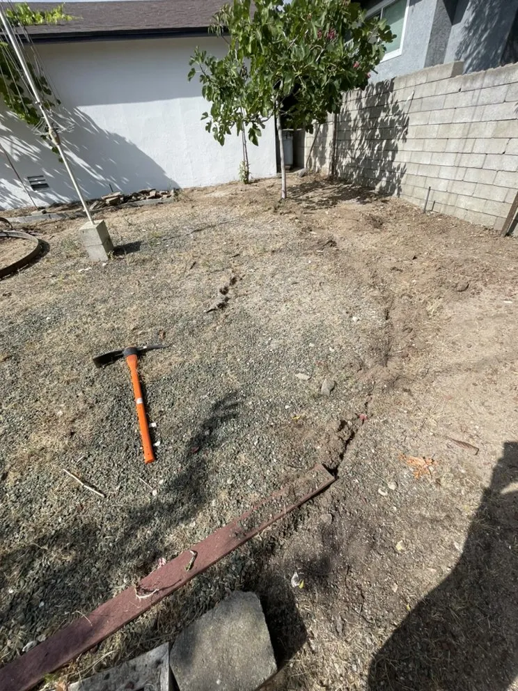 Professional landscaping services experts serving Pasadena, CA - Tree of Life J & D