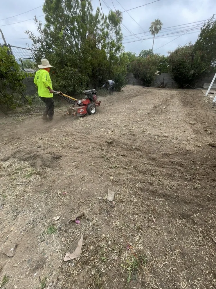 Local landscape installation in Pasadena, CA - Tree of Life J & D