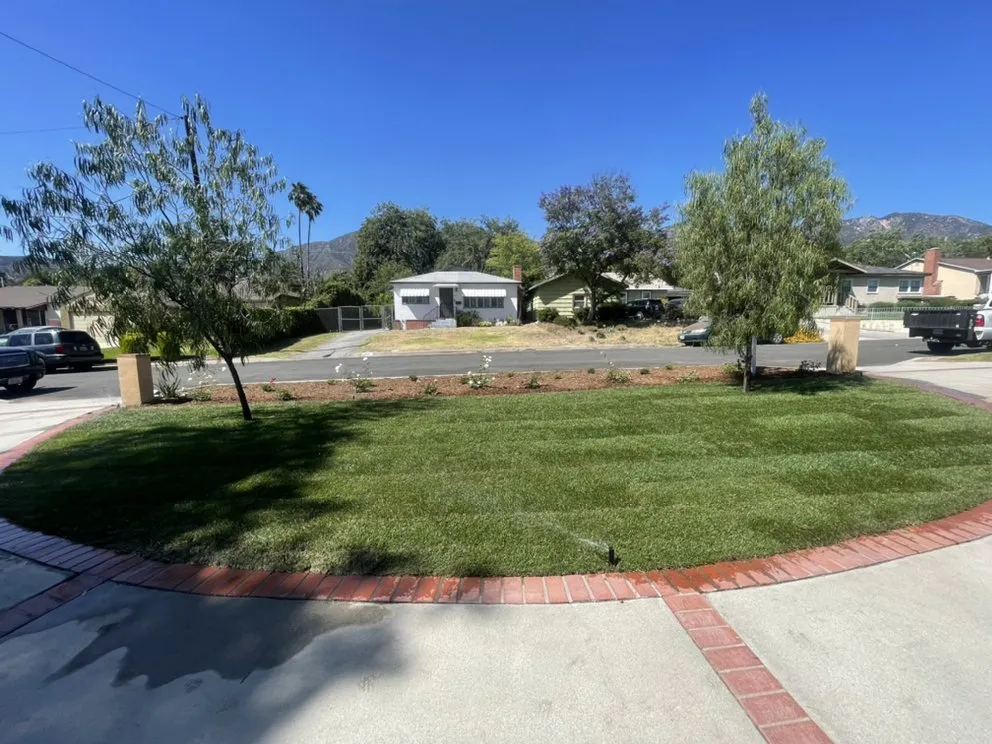 Local outdoor landscaping for beautiful yards across Pasadena, CA - Tree of Life J & D