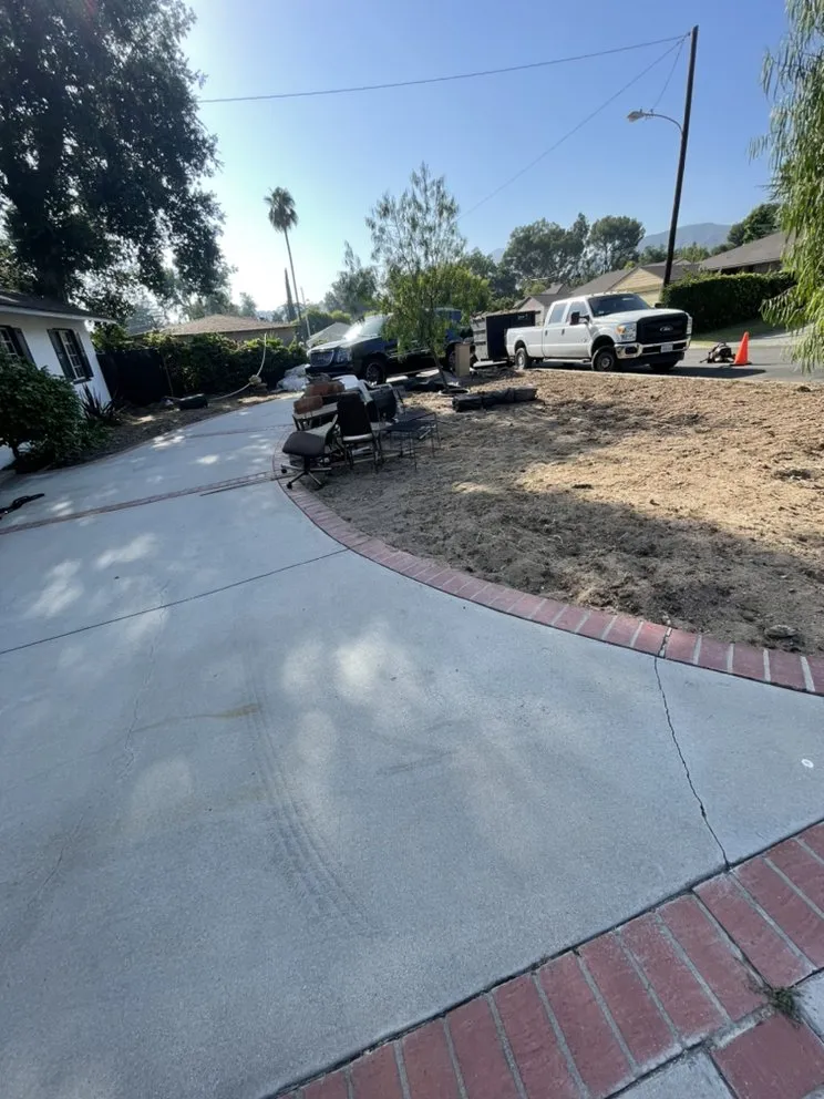 Top-rated yard cleanup service experts serving Pasadena, CA - Tree of Life J & D