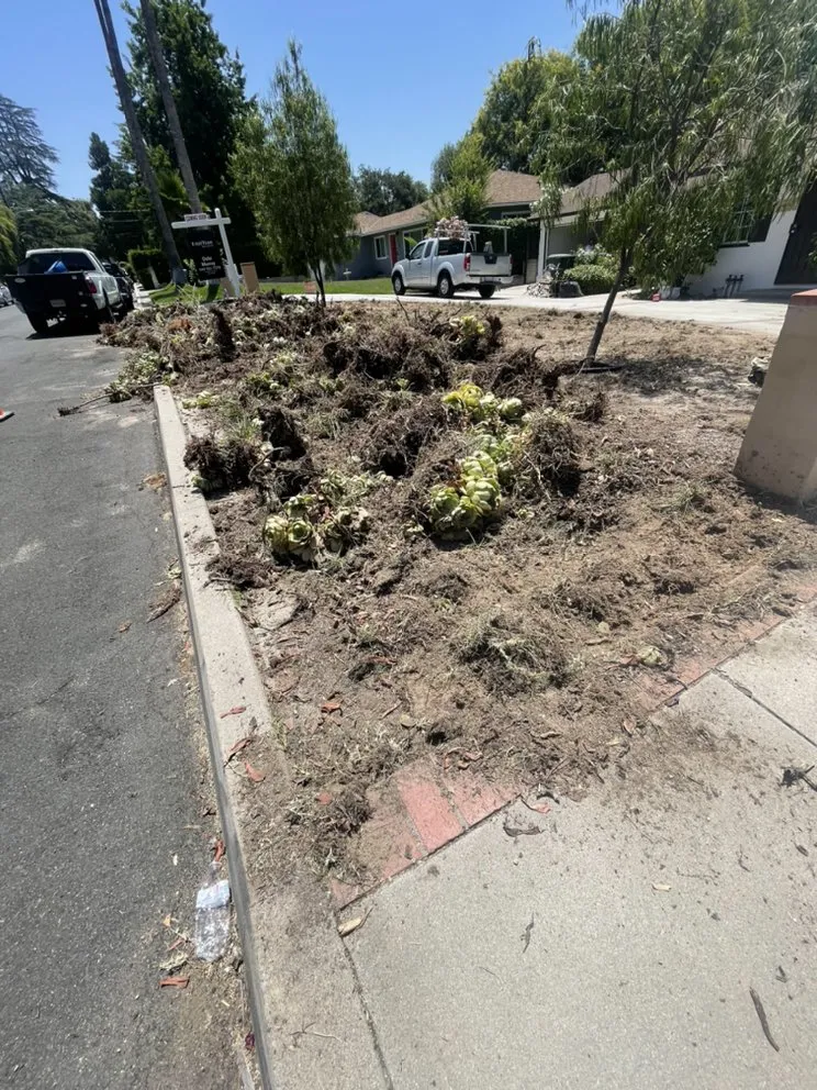 Affordable residential landscaping in Pasadena, CA by Tree of Life J & D