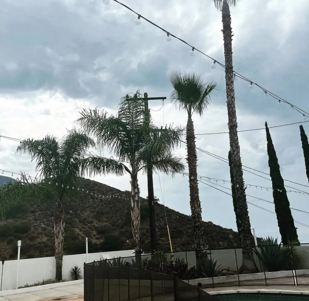 Affordable yard maintenance for homes in Pasadena, CA by Tree of Life J & D