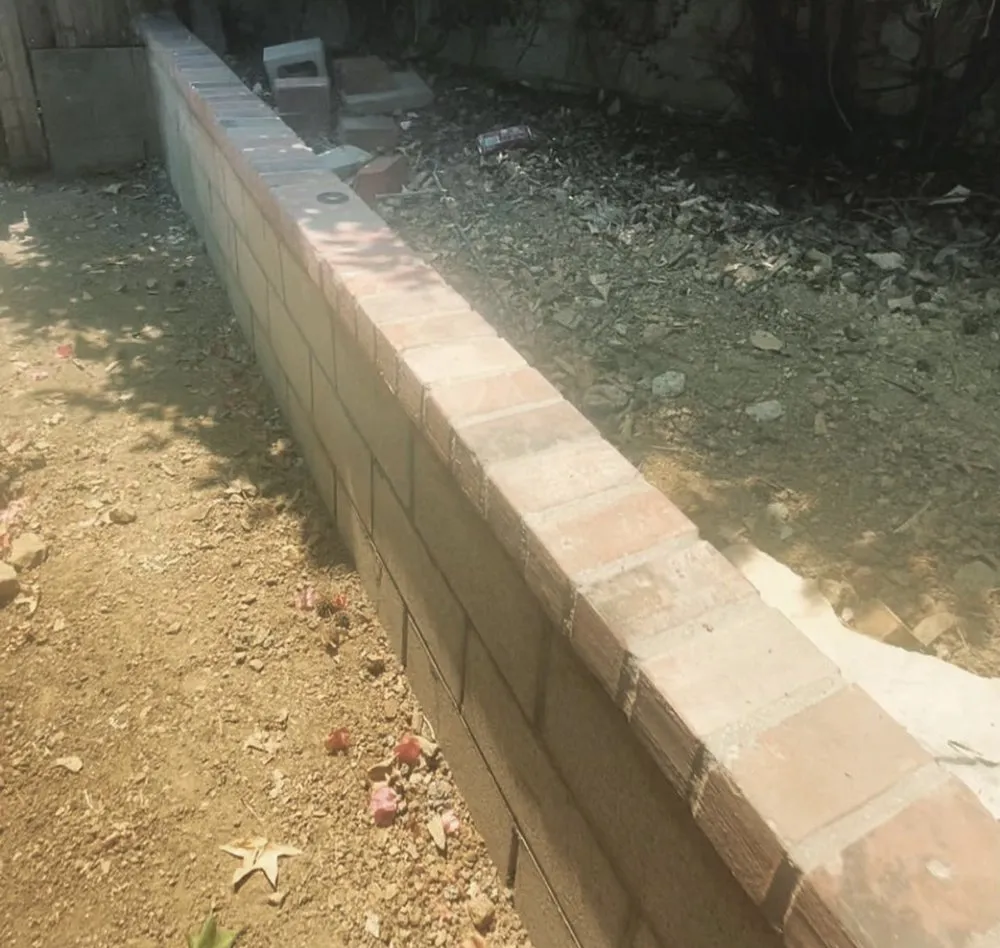 Expert lawn mowing service in Pasadena, CA - Tree of Life J & D