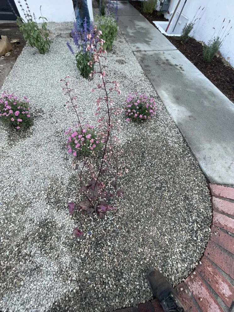 Expert garden landscaping in Pasadena, CA - Tree of Life J & D