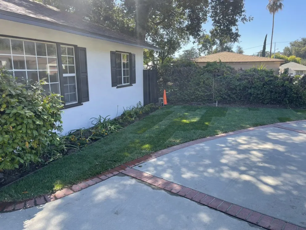Expert lawn care service in Pasadena, CA by Tree of Life J & D