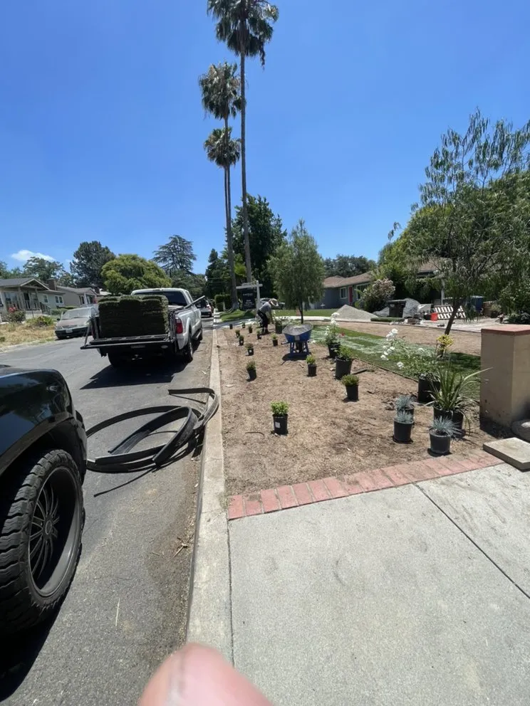 Professional landscape installation experts serving Pasadena, CA - Tree of Life J & D