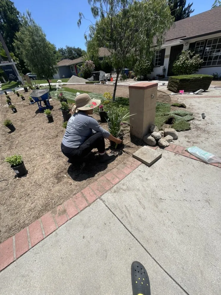 Expert lawn mowing service for residential properties in Pasadena, CA by Tree of Life J & D