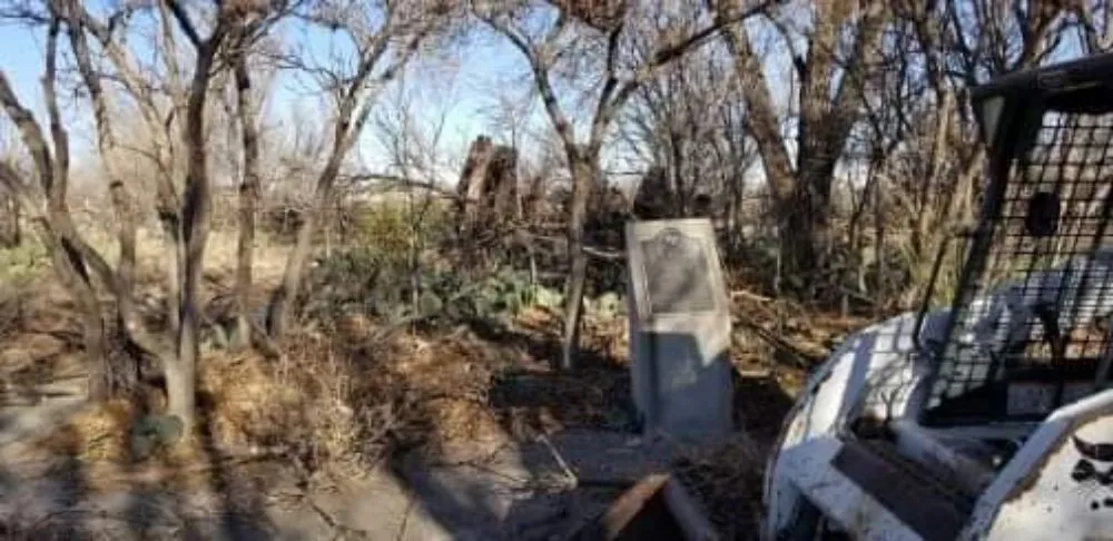 Professional landscape installation in Kermit, TX by Tree Of Life