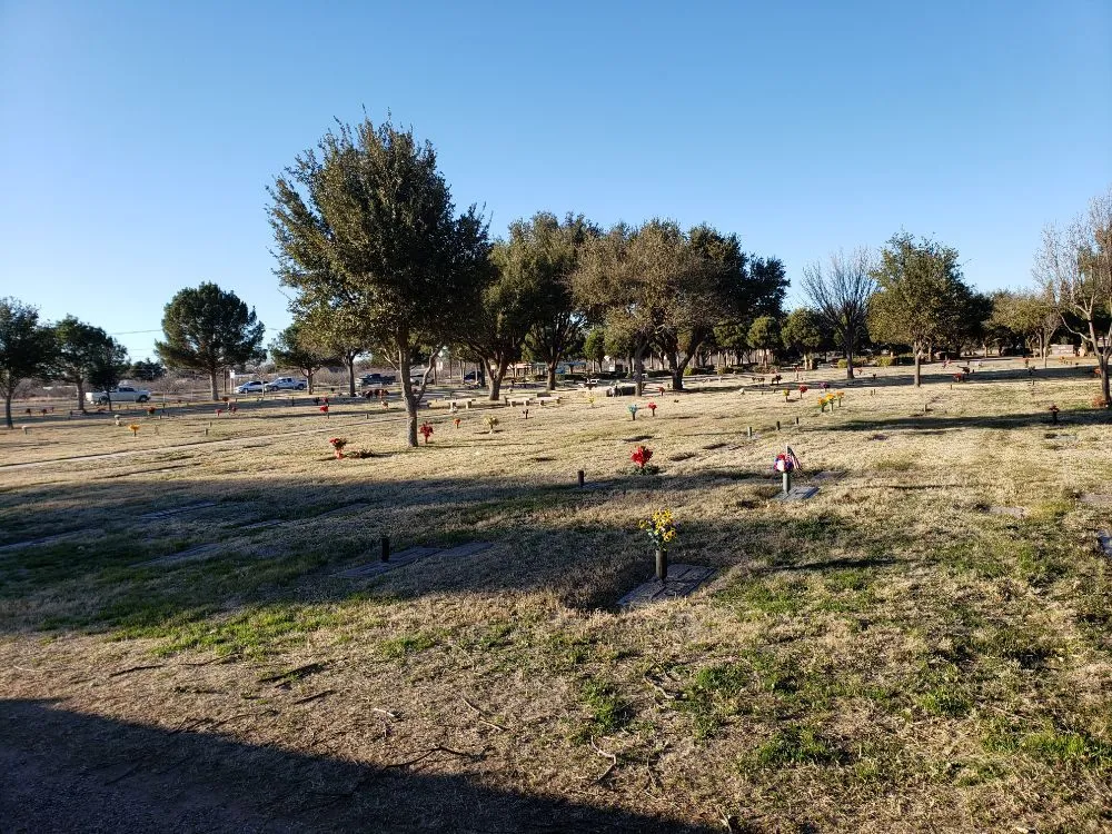 Affordable garden landscaping in Kermit, TX by Tree Of Life